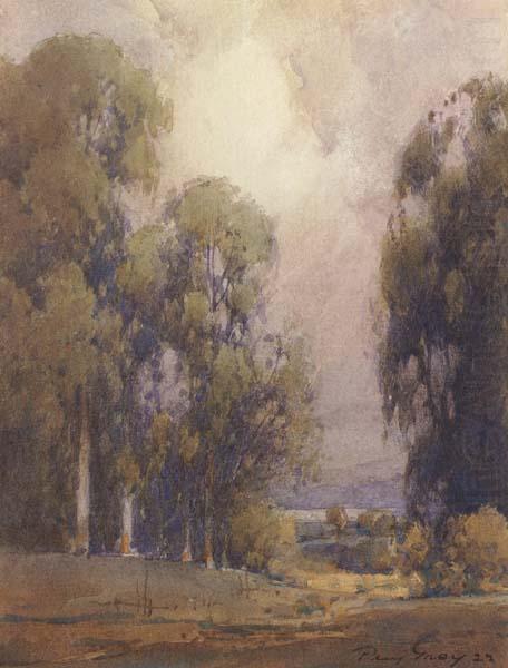 Eucalyptus Landscape, unknow artist